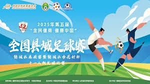 海地足球队的世界杯征程与战斗精神